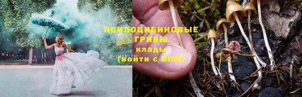 соль ск Горно-Алтайск